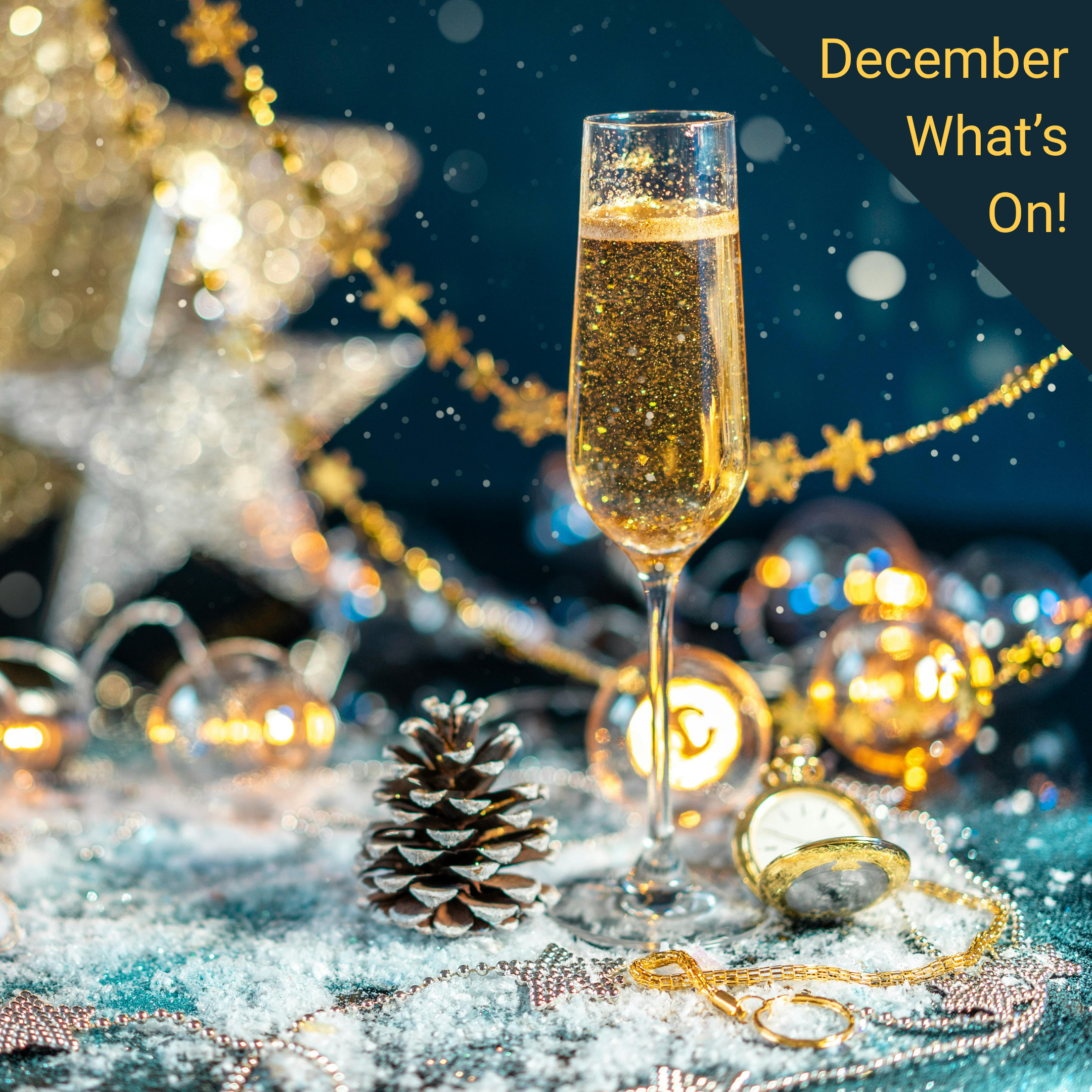 Christmas Programme 2025